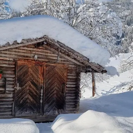 Faschinghuette Dom wakacyjny *