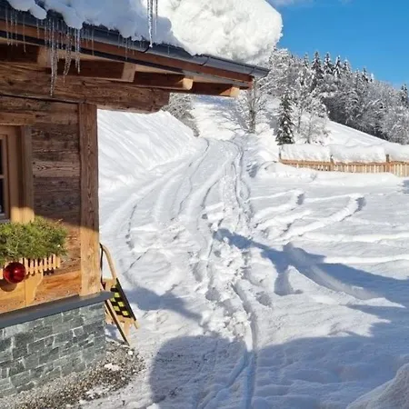 Dom wakacyjny Faschinghuette *