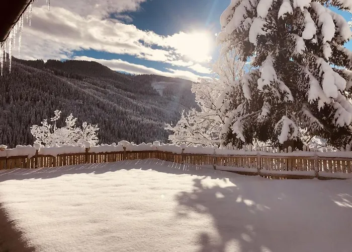 Dom wakacyjny Faschinghuette *